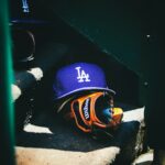 World Series Odds 2026: How the Remaining Teams Compare