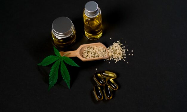 The Business of Cannabis Seeds: How the U.S. Online Market Is Maturing