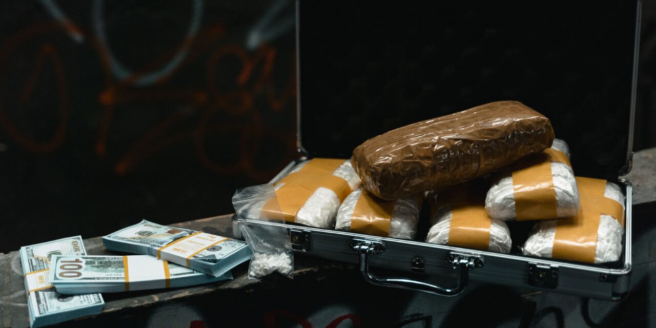 What Happens to Drugs Seized at the Border